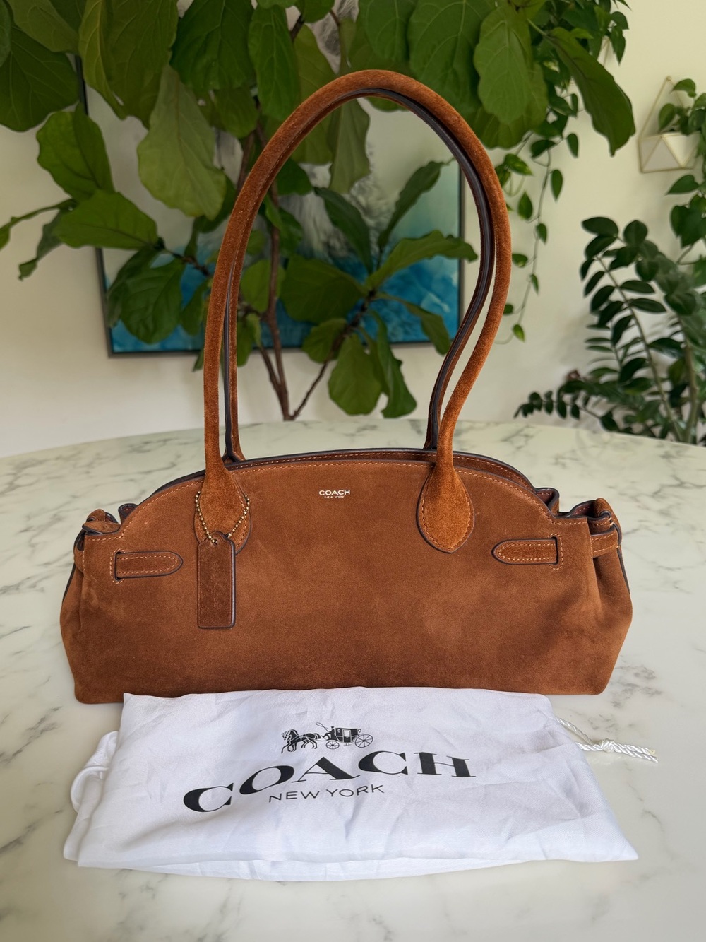 Coach Empire Carryall Bag 34 Brass / Warm Brown Suede Shoulder Bag CBN41